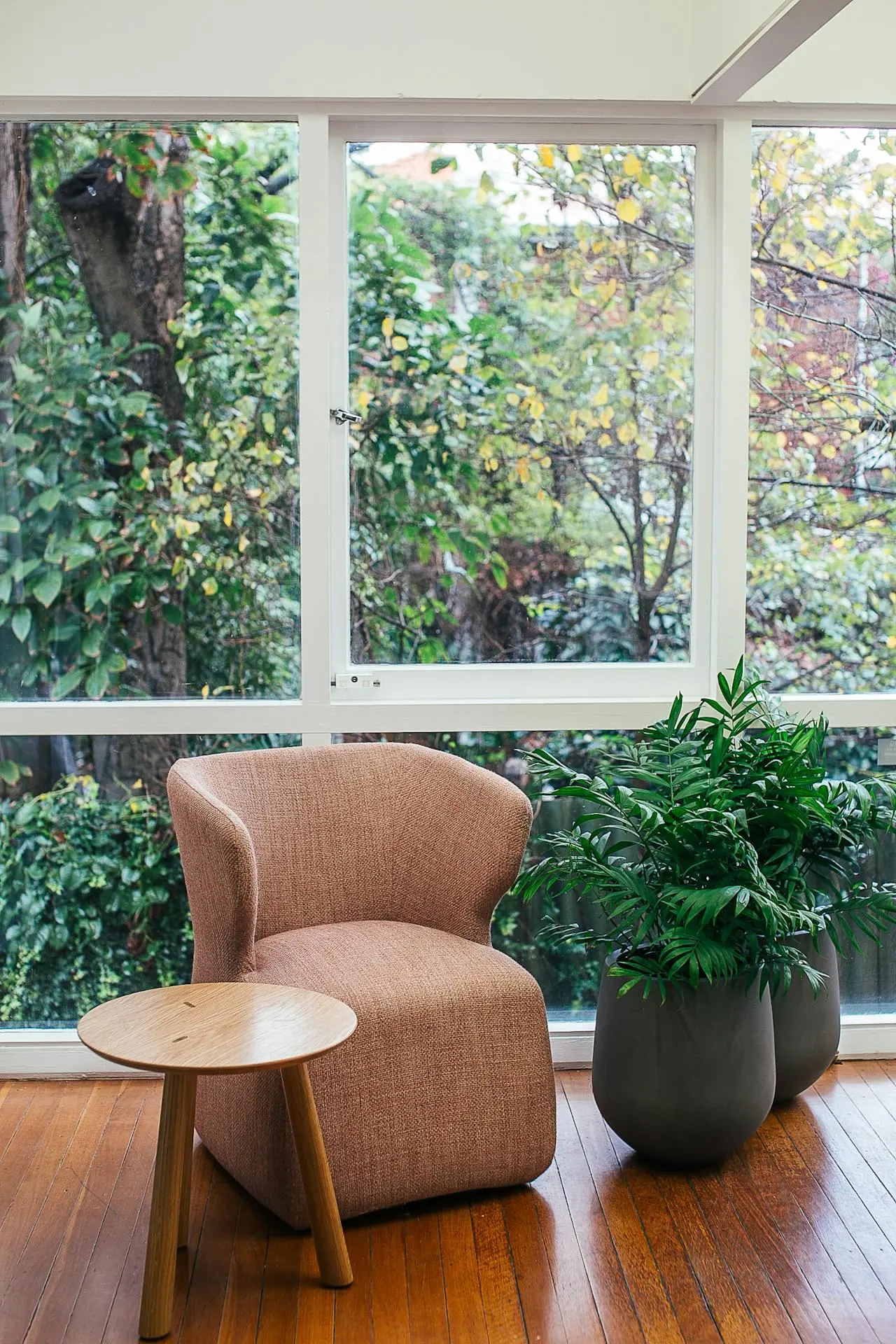 las plantas en el feng shui